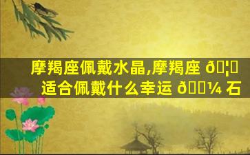 摩羯座佩戴水晶,摩羯座 🦟 适合佩戴什么幸运 🌼 石